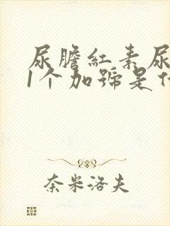 尿胆红素尿胆原1个加号是什么意思