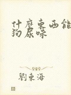 什么东西能去除狗尿味