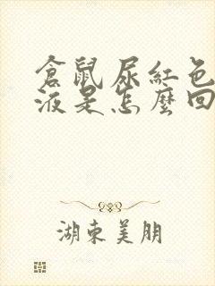 仓鼠尿红色的尿液是怎么回事