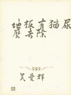 地板有猫尿味怎么去除