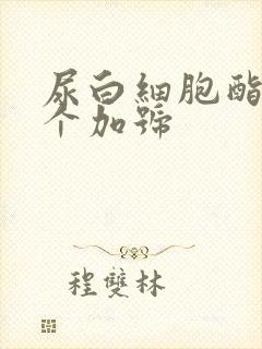 尿白细胞酯酶1个加号