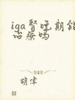 iga肾晚期能治疗吗