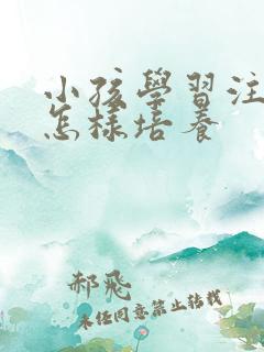 小孩学习注意力怎样培养