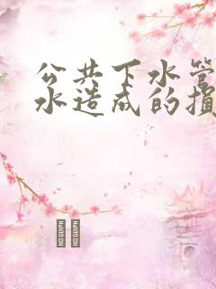 公共下水管道漏水造成的损失谁承担