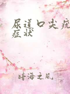 尿道口尖疣湿锐症状