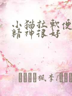 小猫拉软便但是精神很好