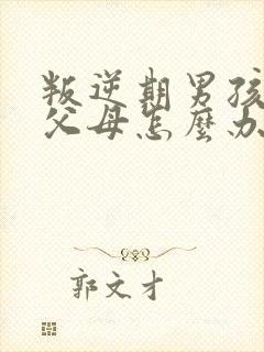 叛逆期男孩不理父母怎么办