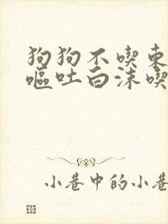 狗狗不吃东西还呕吐白沫吃什么药