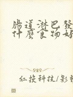 肠道淋巴发炎吃什么食物好