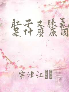 肚子又胀气又饿是什么原因