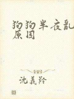狗狗半夜乱叫的原因