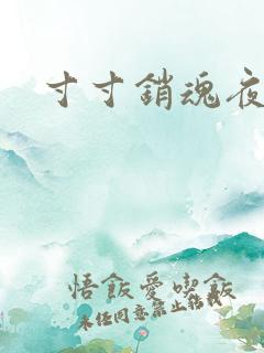 寸寸销魂夜春光