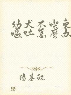 幼犬不吃东西还呕吐怎么办