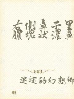 右侧鼻子里有黄脓块状浓鼻涕