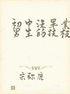 初中没毕业适合男生的技校