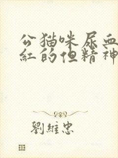 公猫咪尿血了鲜红的但精神很好