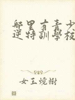 哪里有青少年叛逆特训学校