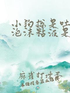 小狗总是吐白色泡沫粘液是怎么回事