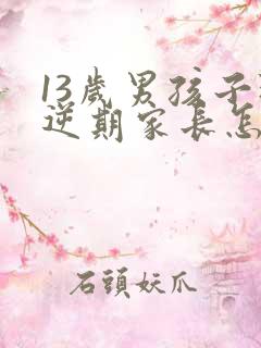 13岁男孩子叛逆期家长怎么做