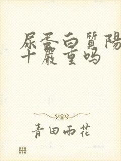 尿蛋白质阳性2十严重吗