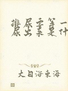 排尿要等一会才尿出来是什么原因