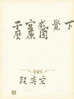 子宫感觉下坠什么原因