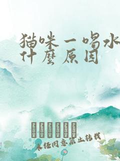 猫咪一喝水就呛什么原因