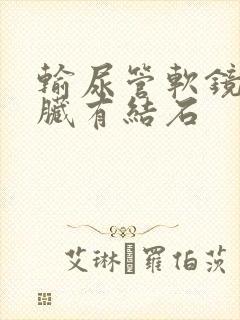 输尿管软镜取肾脏有结石