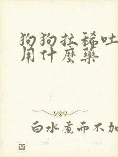 狗狗拉稀吐黄水用什么药