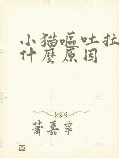 小猫呕吐拉血是什么原因