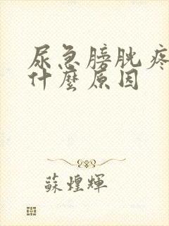 尿急膀胱疼痛是什么原因