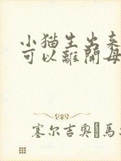 小猫生出来多久可以离开母猫?