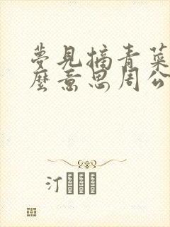 梦见摘青菜是什么意思周公解梦