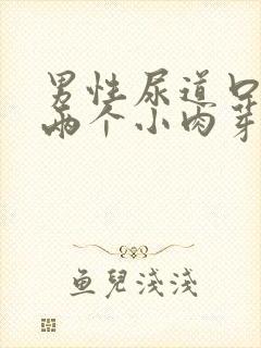 男性尿道口长了两个小肉芽