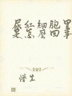 尿红细胞里有血是怎么回事