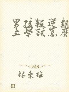 男孩叛逆期不想上学该怎么办