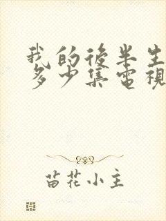 我的后半生共有多少集电视剧