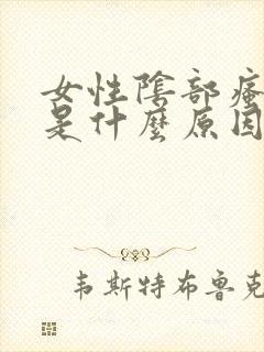 女性阴部瘙痒会是什么原因