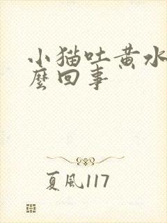 小猫吐黄水是怎么回事