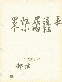 男性尿道长了一个小肉粒