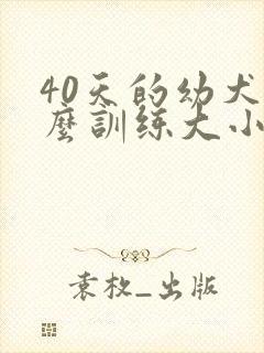 40天的幼犬怎么训练大小便