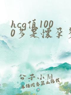 hcg值1000多是怀孕多久了