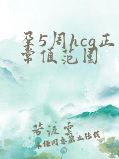 孕5周hcg正常值范围