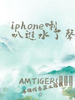iphone喇叭进水了声音沙哑怎么办