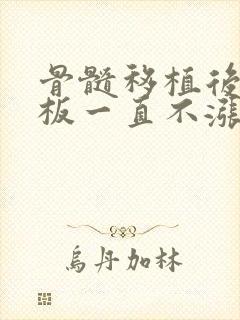 骨髓移植后血小板一直不涨怎么办