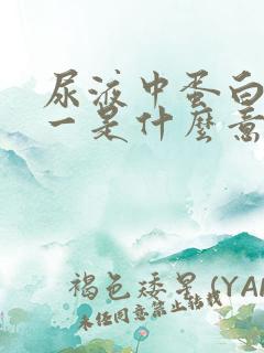 尿液中蛋白质十一是什么意思