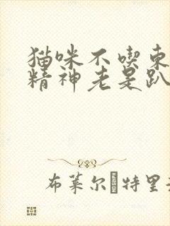 猫咪不吃东西没精神老是趴着吃什么药