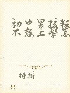 初中男孩叛逆期不想上学怎么办