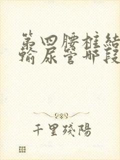 第四腰椎结石是输尿管哪段