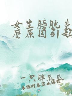 女生膀胱炎是什么原因引起的啊